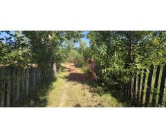 Teren intravilan de vanzare 3375 mp in Brebu - Imagine 6