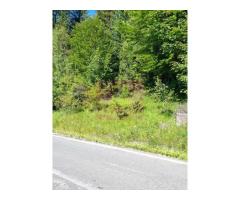 Teren de vânzare în zona Cota 1000 – Sinaia - Imagine 9