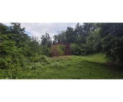 Teren de vanzare 15.000 mp in Telega - Imagine 9