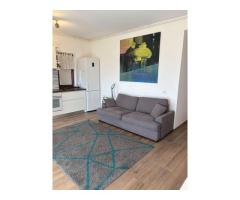 Apartament pet friendly de închiriat 2 cam. - zona Braytim Timisoara - Imagine 5