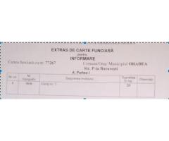 Garaj cu CF, 20 mp, Piata Bucuresti. 11 500 E (neg). Comision 0 - Imagine 4