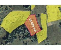 Teren cu panoramă fabuloasă, 10.059 mp, Roșia. 19.000 EUR. Comision 0