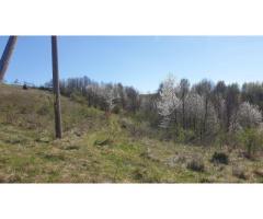 Teren cu panoramă fabuloasă, 10.059 mp, Roșia. 19.000 EUR. Comision 0 - Imagine 2
