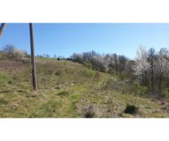 Teren cu panoramă fabuloasă, 10.059 mp, Roșia. 19.000 EUR. Comision 0 - Imagine 5