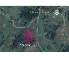 Teren cu panoramă fabuloasă, 10.059 mp, Roșia. 19.000 EUR. Comision 0 - Imagine 6