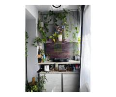 Apartament 2 camere, spațios, mobilat și utilat, loc de parcare - Imagine 8