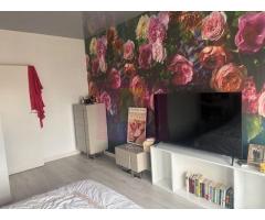 Vila tip  duplex Otopeni- 23 August. - Imagine 5