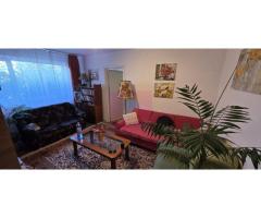 Apartament cu 2 camere de vanzare in Campina, parter
