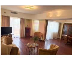 Vanzare duplex 4 camere Unirii-Splai - Imagine 2