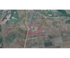 Teren 40ha Adunatii Copăceni | Industrial/ Logistic - Imagine 2