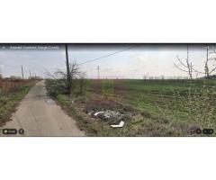 Teren 40ha Adunatii Copăceni | Industrial/ Logistic - Imagine 3