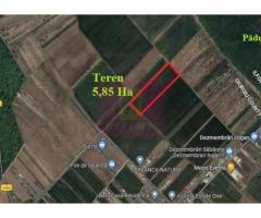 Săbăreni, teren 5,85 ha, intravilan rezidențial, între 2 păduri