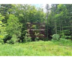 Teren intravilan de vanzare in Sinaia - Zona Furnica - Imagine 4