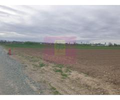 Teren ideal dezvoltare imobiliară în Măgurele strada Atmosferei - Imagine 5