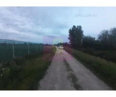 Teren aproape de Bucuresti langa padure - Imagine 9