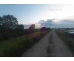 Teren aproape de Bucuresti langa padure - Imagine 10