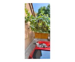 Casa individuala cu 5 camere in zona Dâmbovița din Timișoara - Imagine 11
