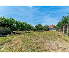 Casă cu teren 1018 mp și 2 fronturi stradale - Bujac - Imagine 5