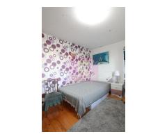 Casa, 5 camere si curte, locatie centrala in Pantelimon, Ilfov - Imagine 10