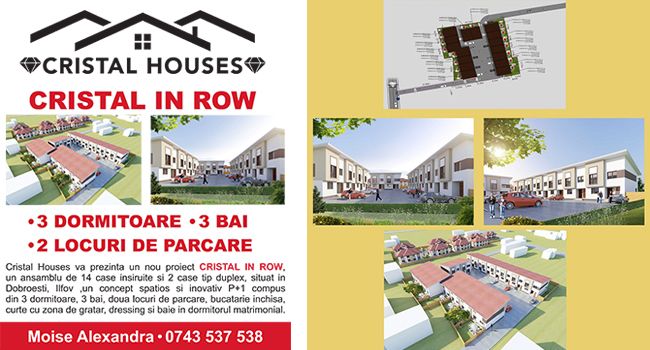 CRISTAL HOUSES prezinta la TNI proiectul Cristal IN ROW